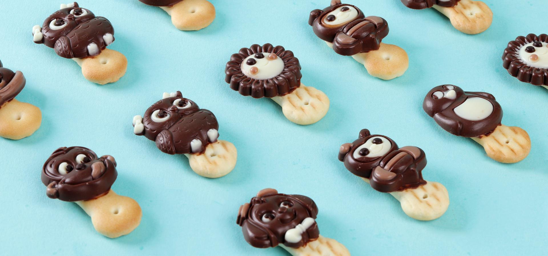 Biscuit Chocolate Decoration Machine
