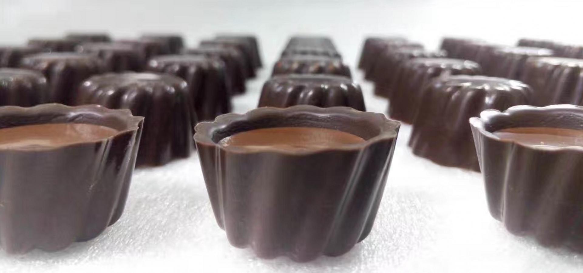 Cold Press Chocolate Moulding Machine